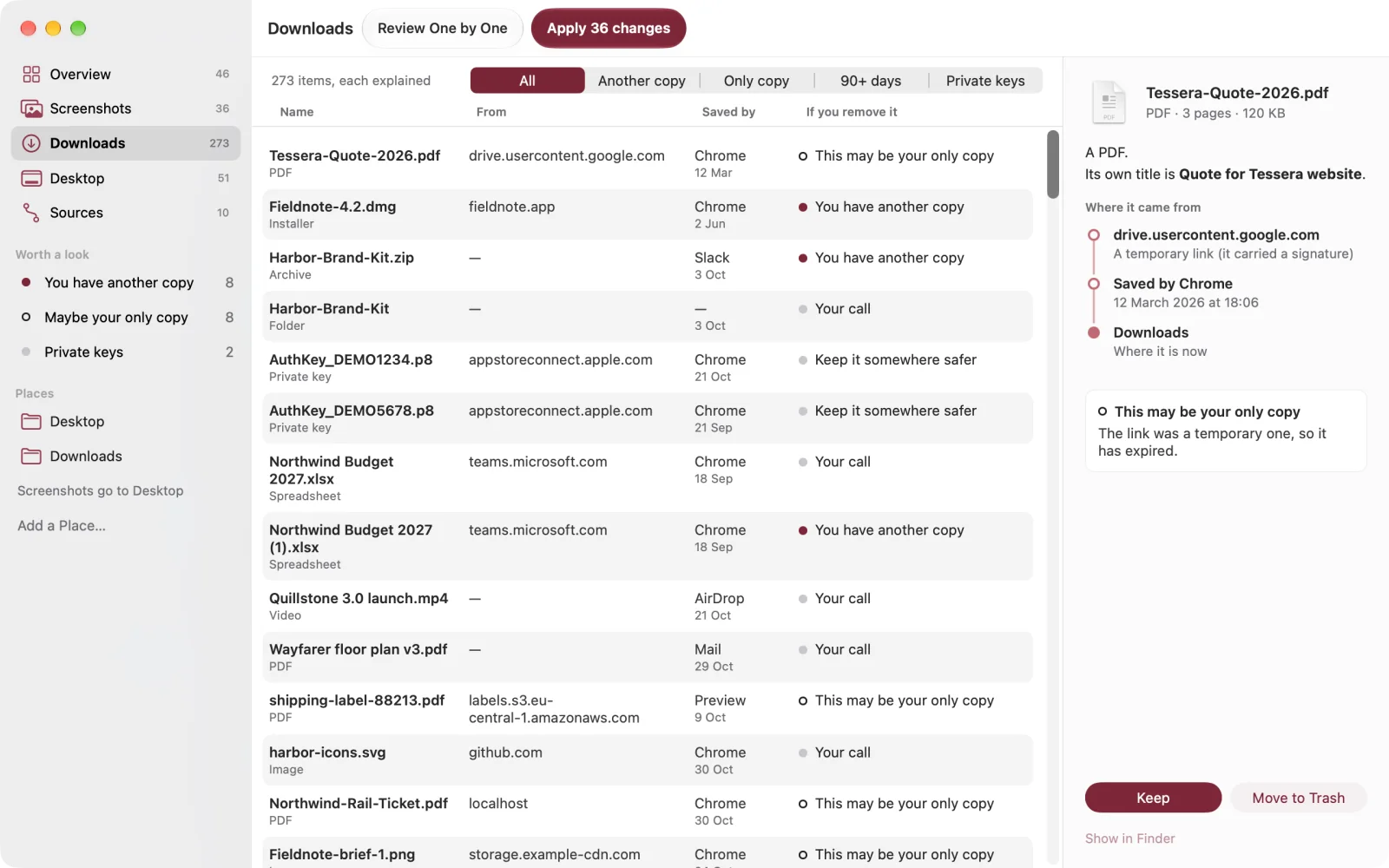 Downloads: every file with the site it came from, the app that saved it, and what happens if you remove it; the details panel explains a temporary link