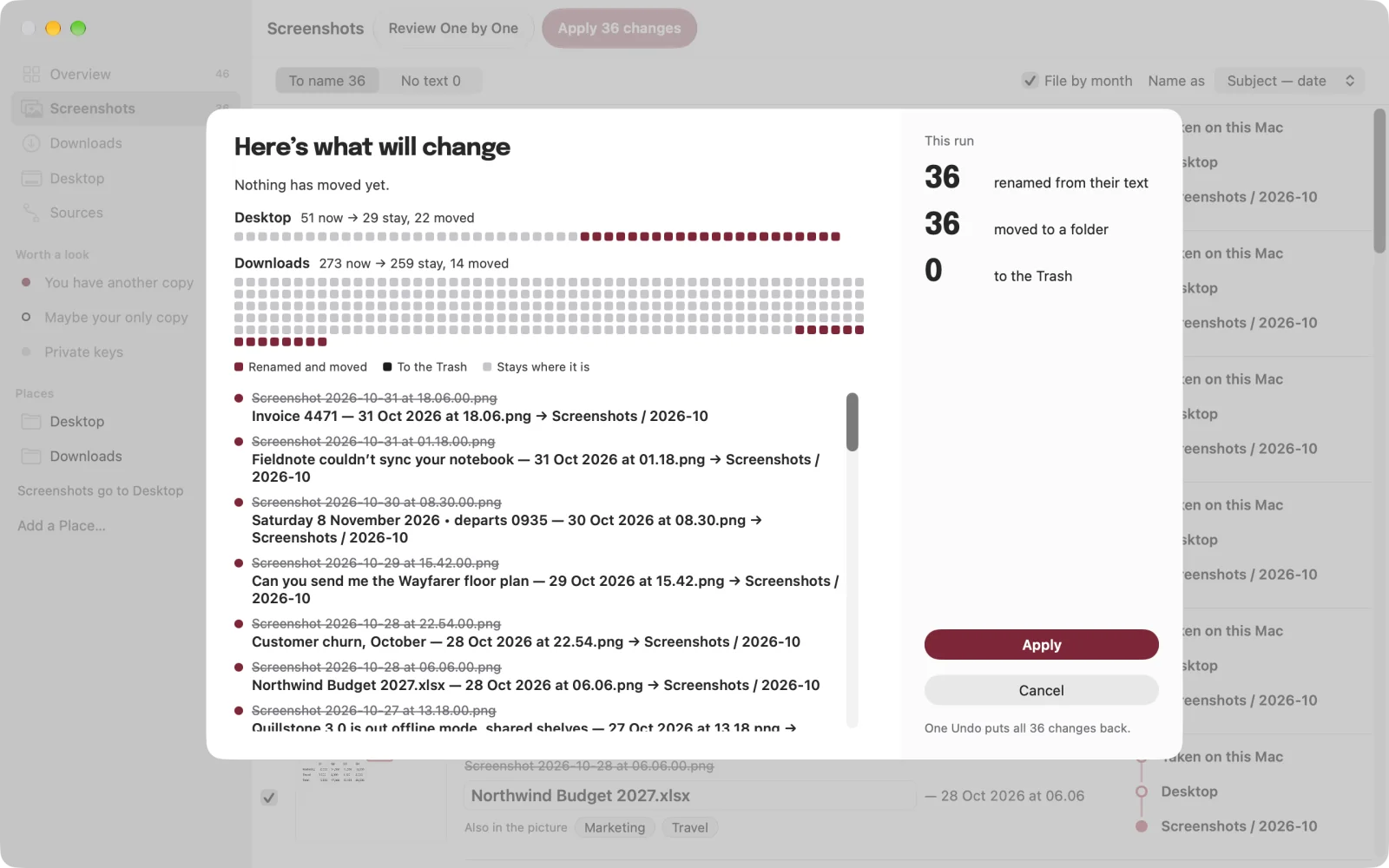 Before Apply: here’s what will change, nothing has moved yet, with every file’s new name and one Undo for all 36 changes